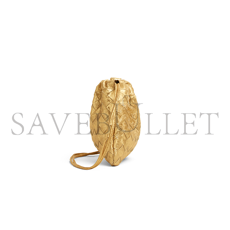 b0tt*ga Ven*ta small dustbag 816987v5xf08472 (21*16.6*1cm)